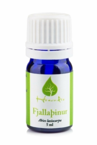 Mountain essential oil. Abies lasiocarpa