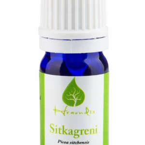 Sitkagreni essential oil. Picea sitchensis